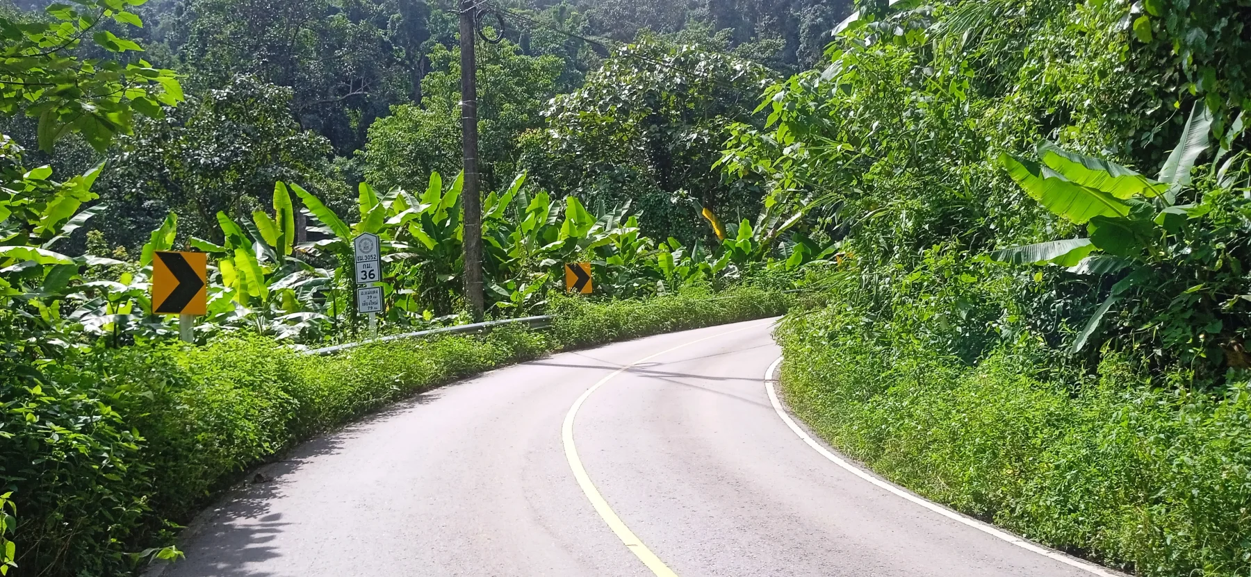 a perfect little asphalt road with hardly any traffic and MANY twisties