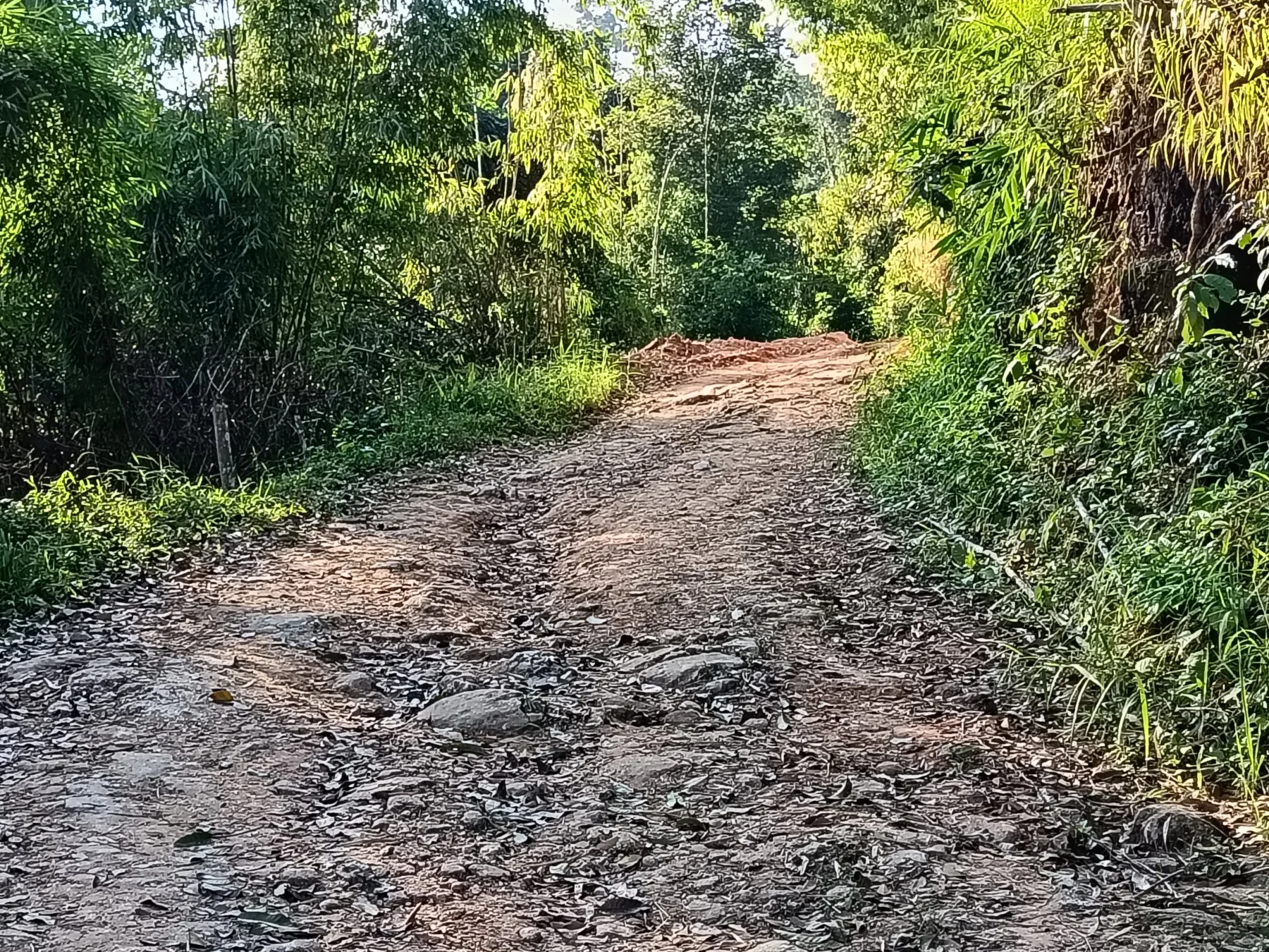 After a great 5 km through the jungle, 1 km before Ban Jak, the road is sealed again