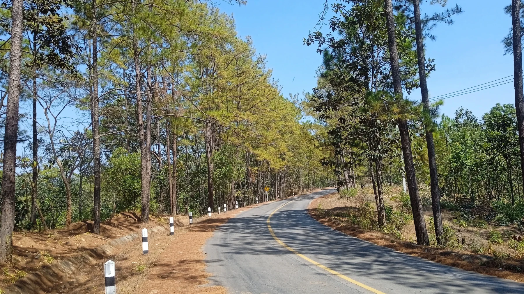 Ban Watchan (1000m ASL). The road is not as good anymore, and you go through mainly pine tree forest