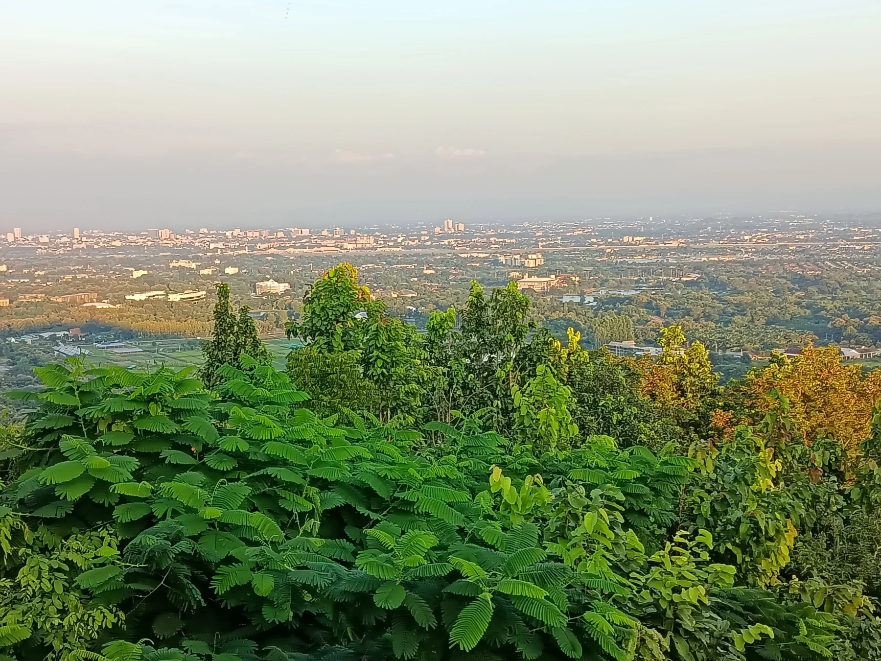 best viewpoints overlooking the city
