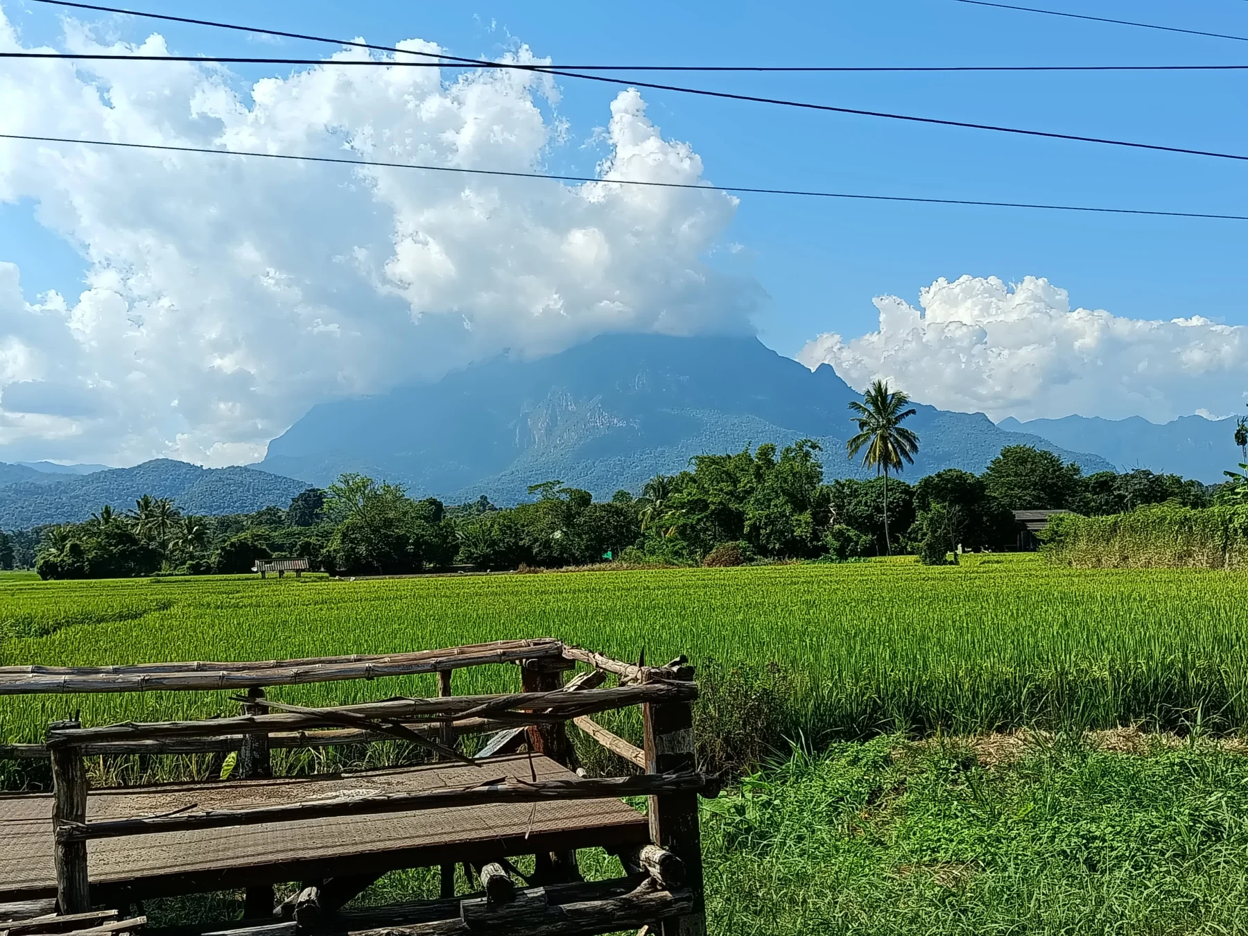 Chiang Dao mountain