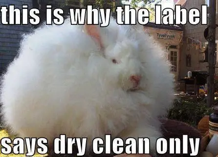 dry cleaning only