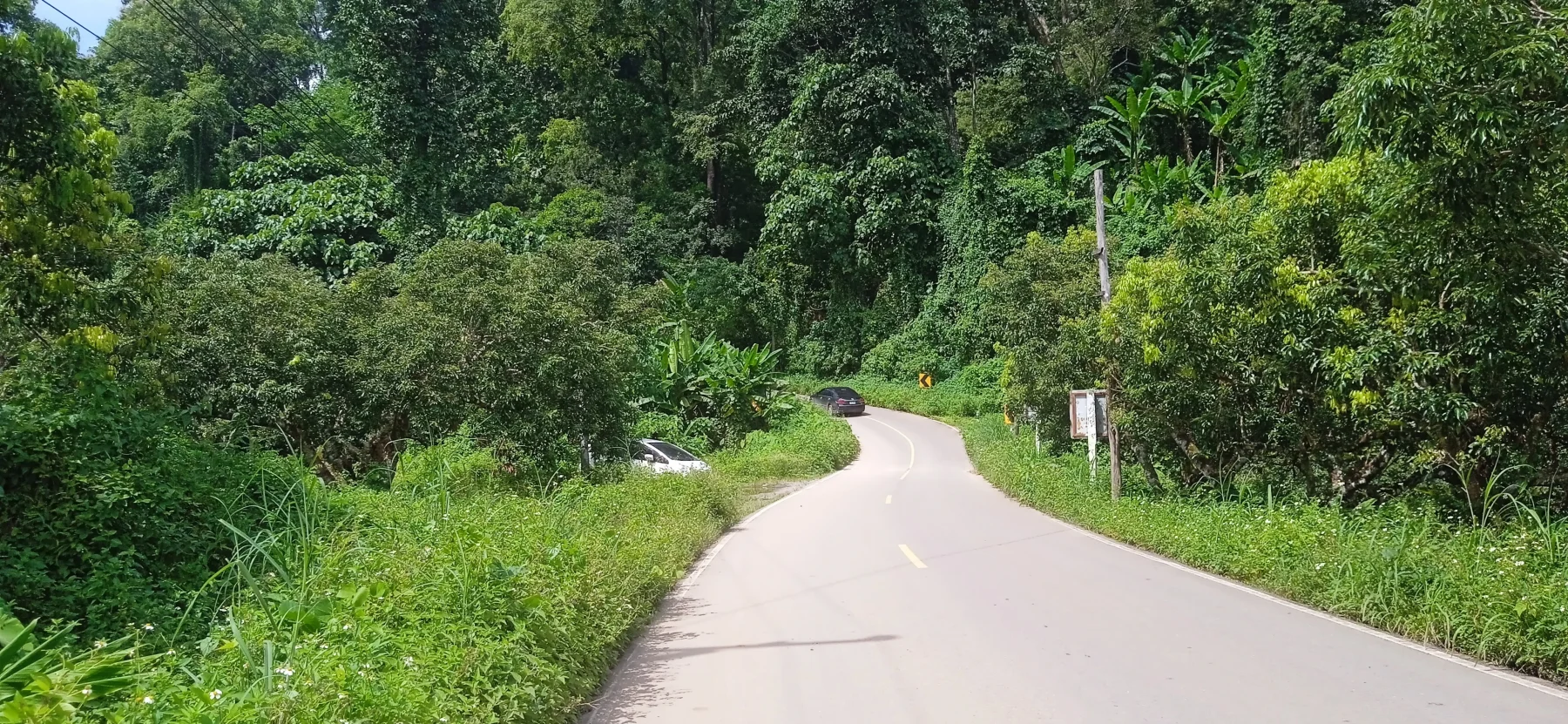 going up into the lush green mountains