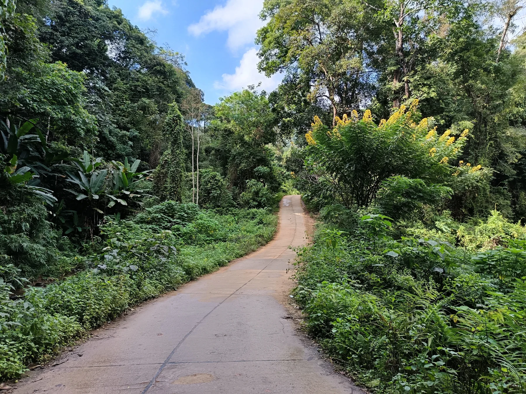 Mae Wae village