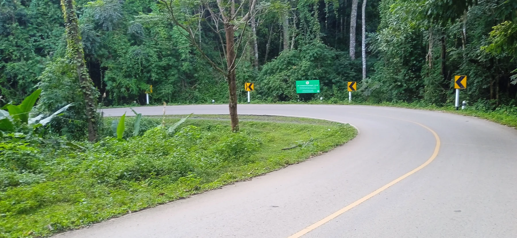 nice green forest to the village of Mae Khi