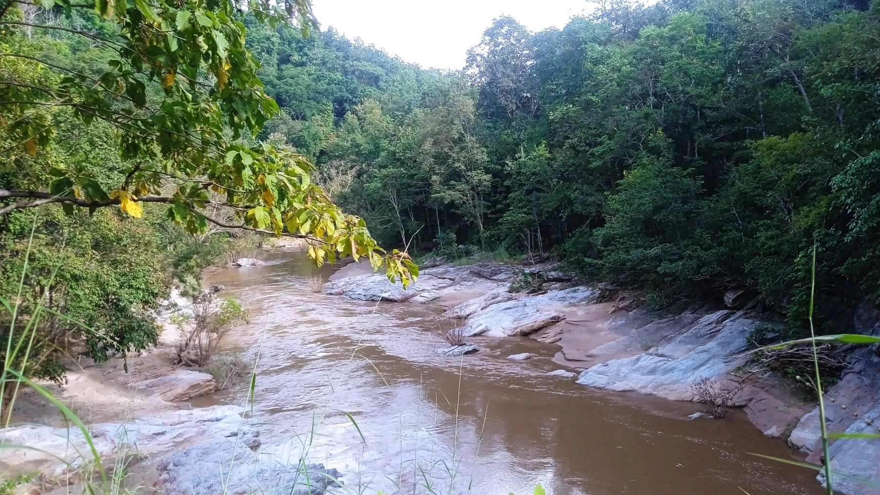 off road track