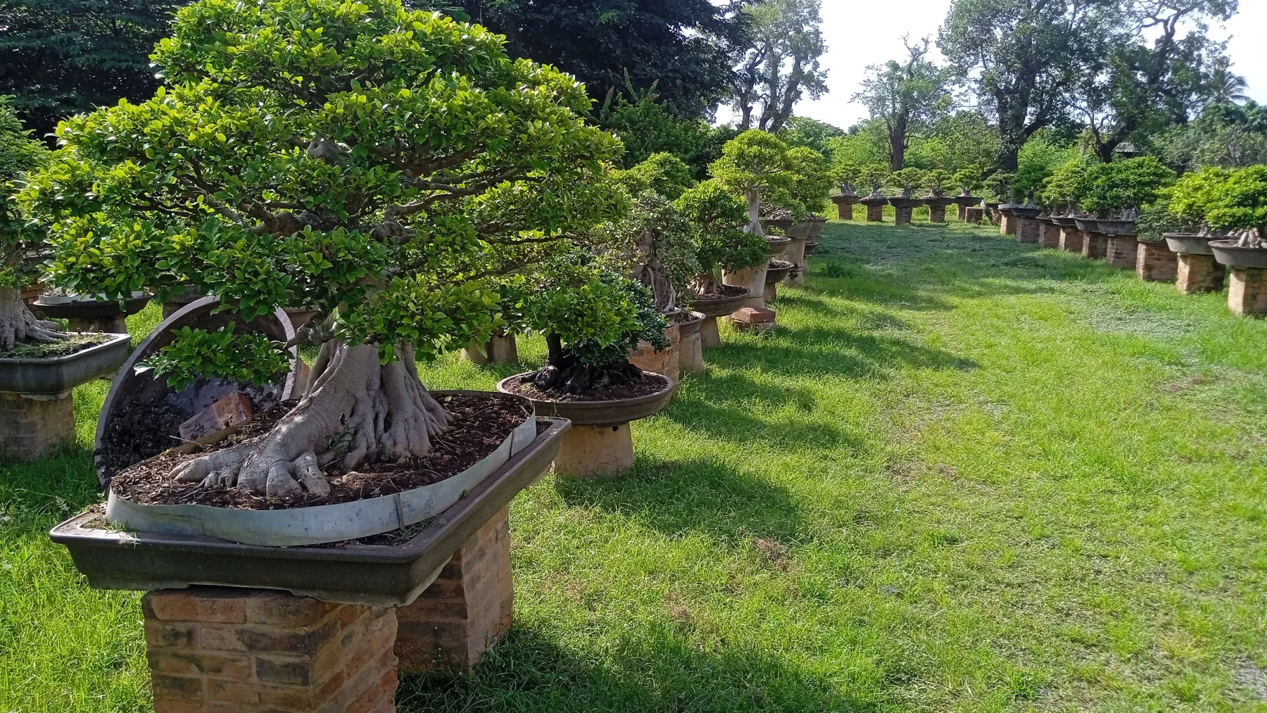 Terracotta Garden