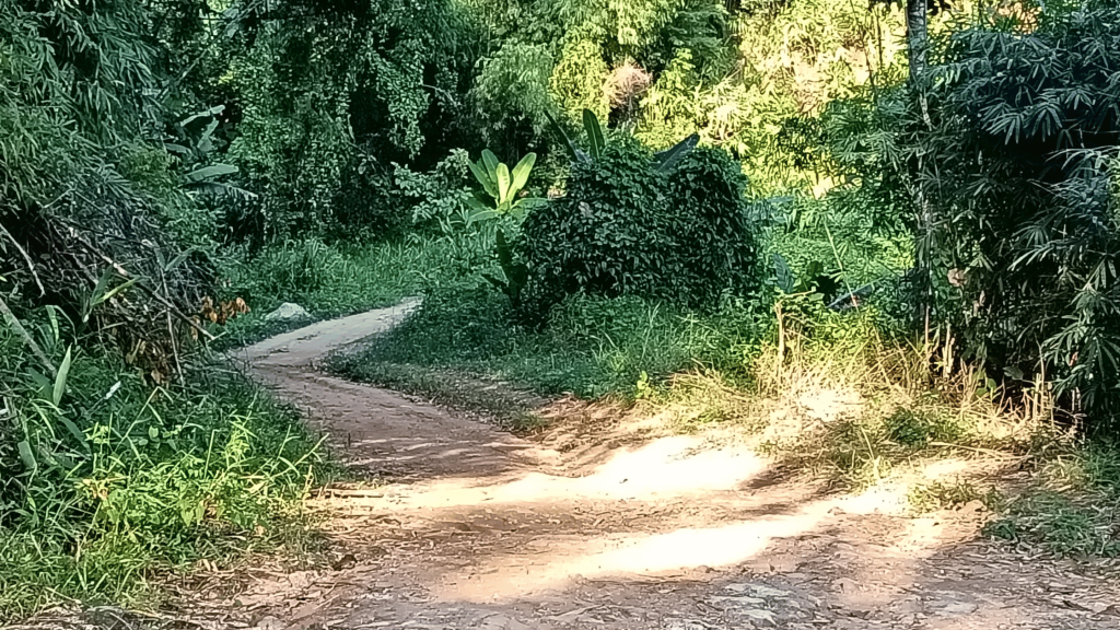 The Mok Fa Loop