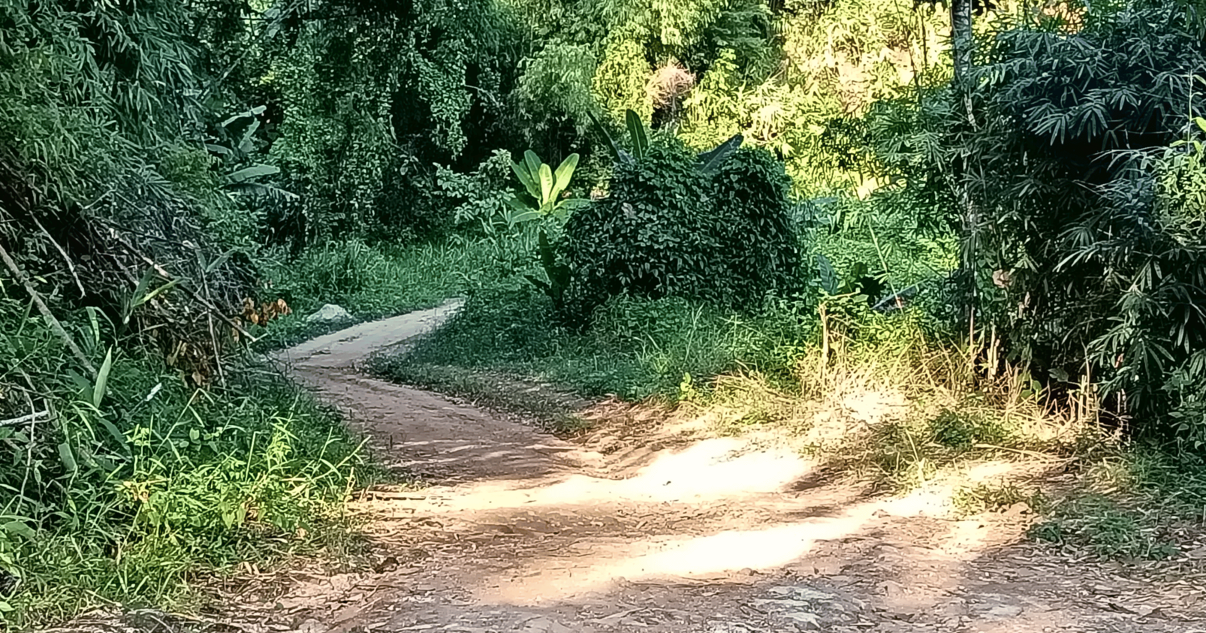The Mok Fa Loop