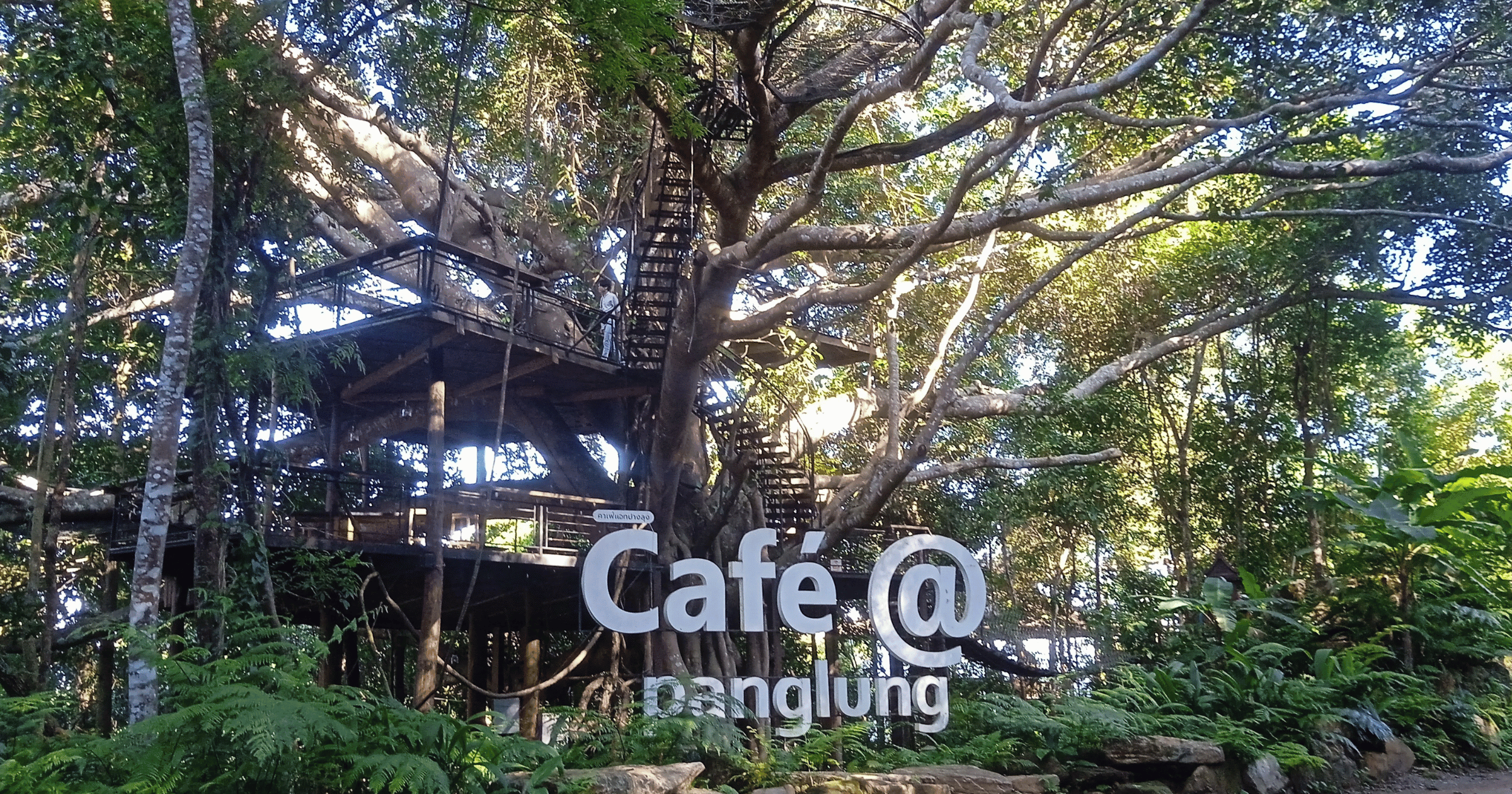 The Pongkhrai Loop