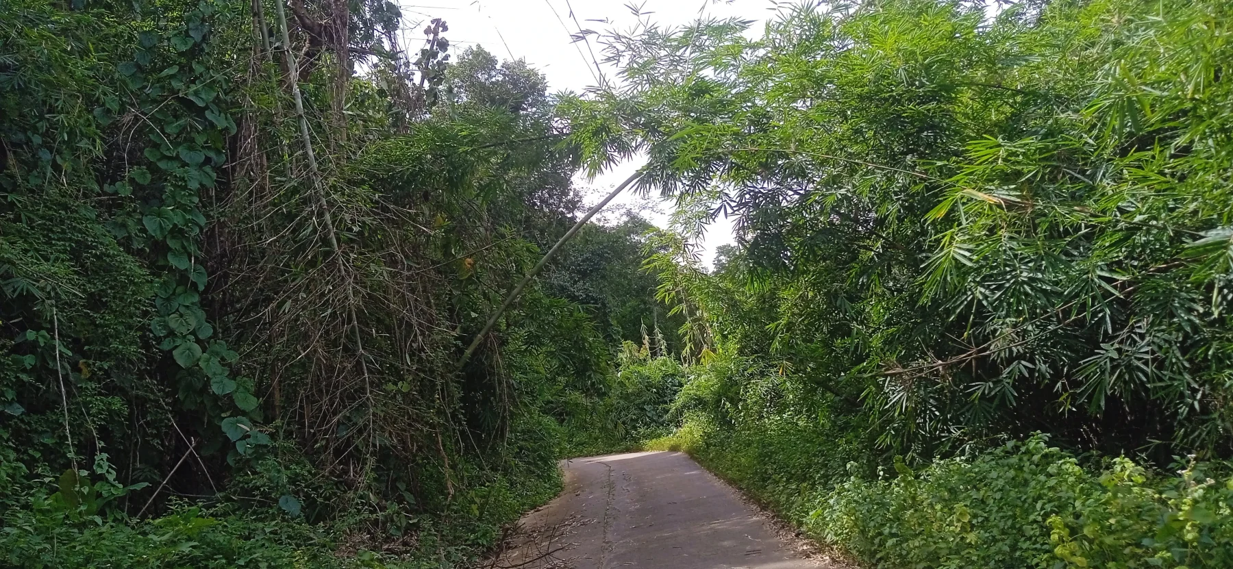 the road transitions to bumpy concrete
