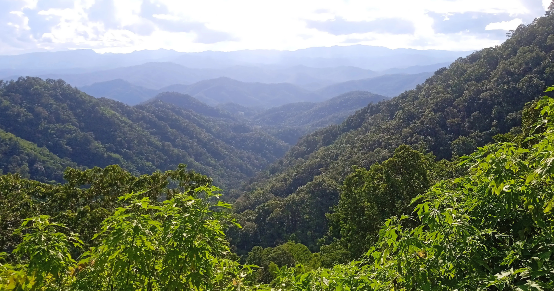 The Watchan Loop