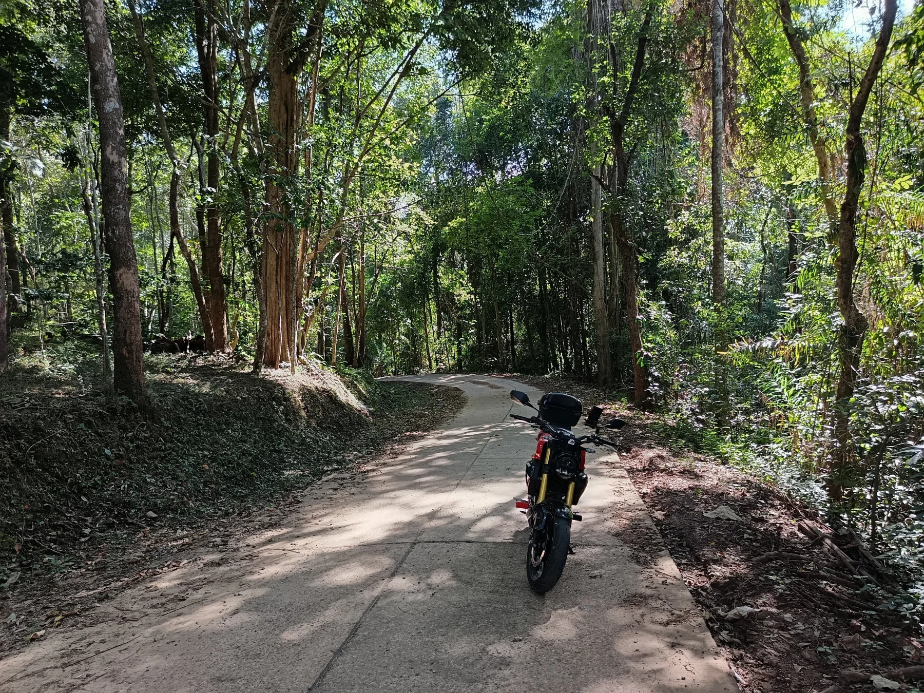 This “unknown road” goes up first through dense forest