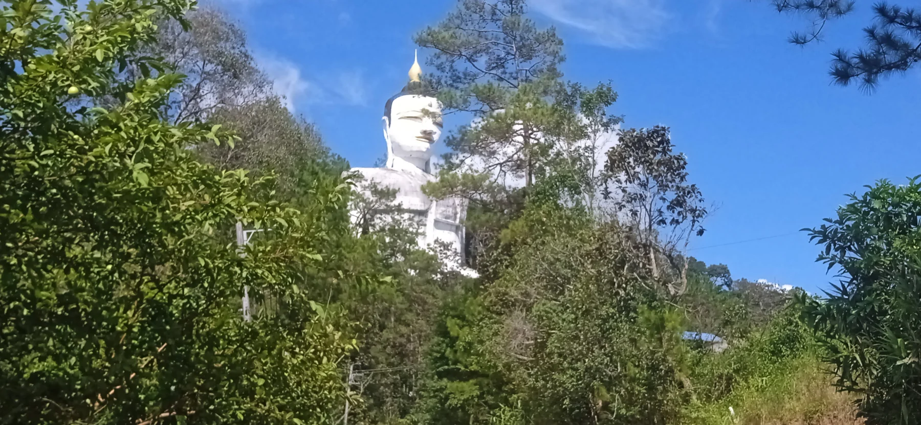 visit the Biggest Buddha Statue